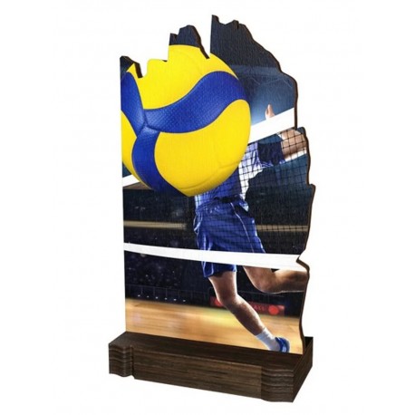 Pokal lesen WPLA07 M04  Namizni tenis 19 CM