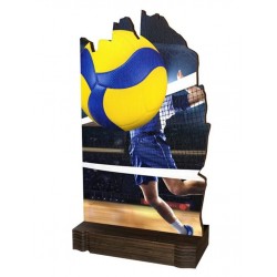 Pokal lesen WPLA07 M04  Namizni tenis 19 CM