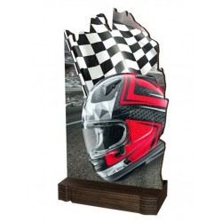 Pokal lesen WPLA02 M15  Odbojka 22 CM