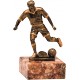 Pokal nogomet RF108