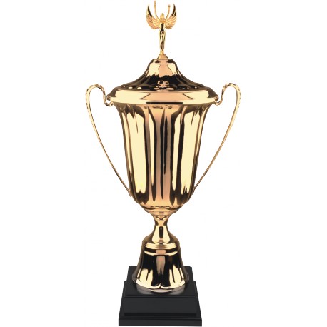 Pokal univerzalni 9026C 62cm